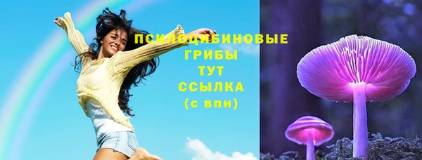 тгк Няндома