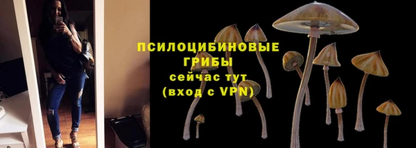 каннабис Алексеевка