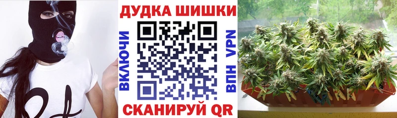 Канабис MAZAR  Перевоз 